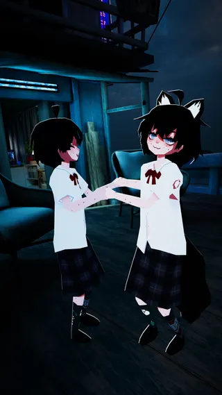 The Twin