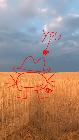 You at the Harvest
